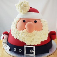 Christmas Cake - Santa 3D Cake